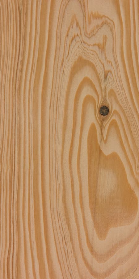 Douglas Fir